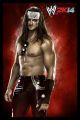 WWE-2K14-Luchadores-40.jpg
