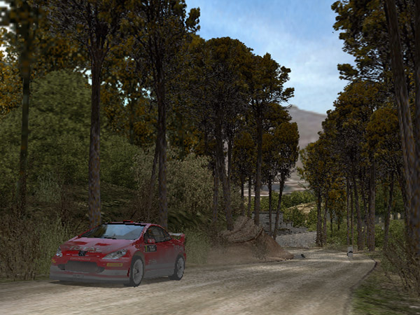 WRC: Rally Evolved