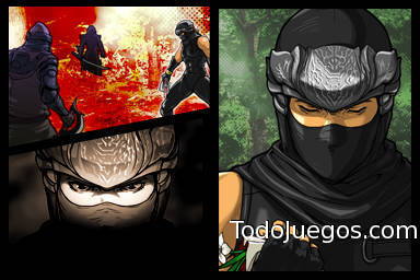 Ninja Gaiden Dragon Sword