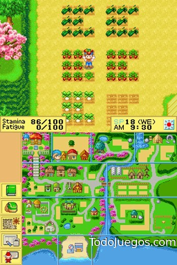 Harvest Moon DS