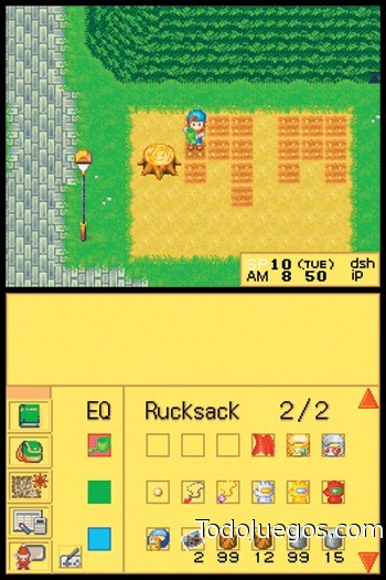 Harvest Moon DS