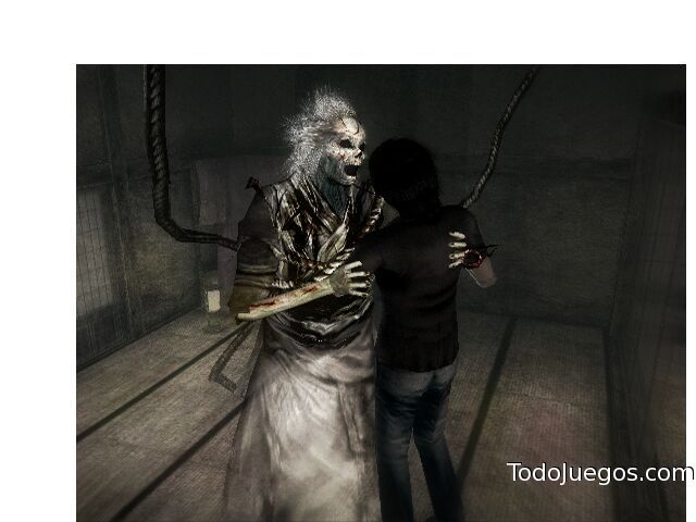 Project Zero 3: The Tormented