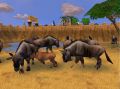 zoo_tycoon_2_1.jpg