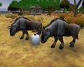 Zoo Tycoon 2: African Adventure