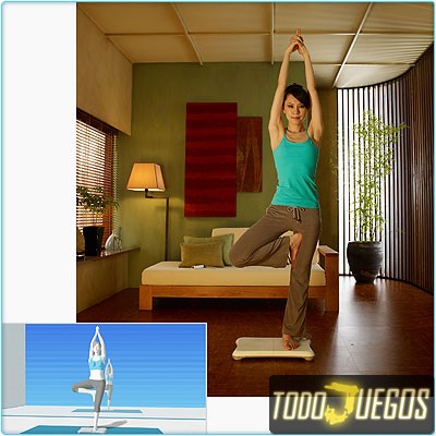 Wii Fit - Imagen 20