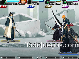 Bleach: The Blade of the Fate