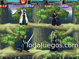 Bleach: The Blade of the Fate