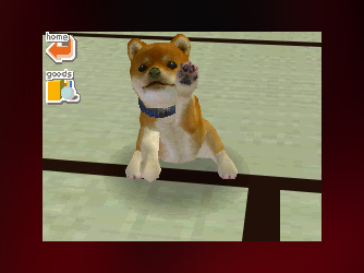 Nintendogs (Nintendo Ds)