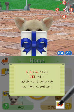 Nintendogs: Teckel y Compañía - Imagen 39