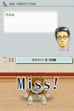 Nintendogs: Teckel y Compañía - Imagen 33