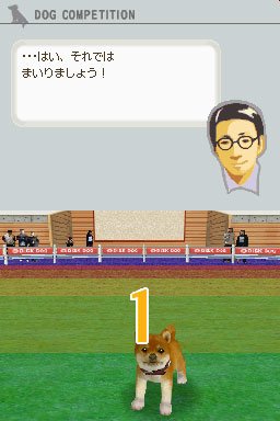 Nintendogs: Teckel y Compañía - Imagen 27