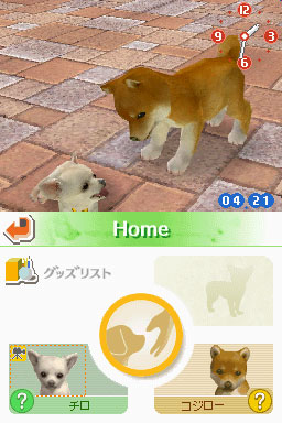 Nintendogs: Teckel y Compañía - Imagen 36
