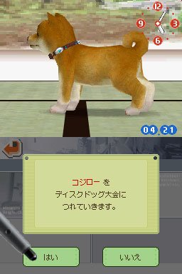 Nintendogs: Teckel y Compañía - Imagen 37