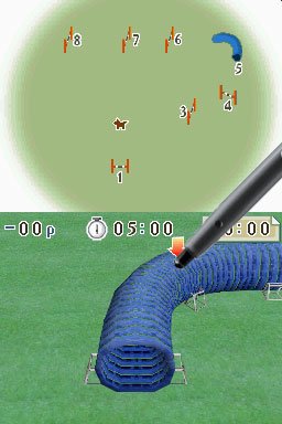 Nintendogs: Teckel y Compañía - Imagen 29