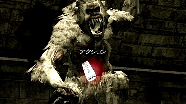 Resident Evil: The Umbrella Chronicles - Imagen 25