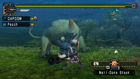 Monster Hunter Freedom Unite - Imagen 31