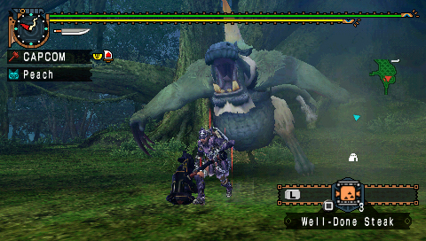 Monster Hunter Freedom Unite