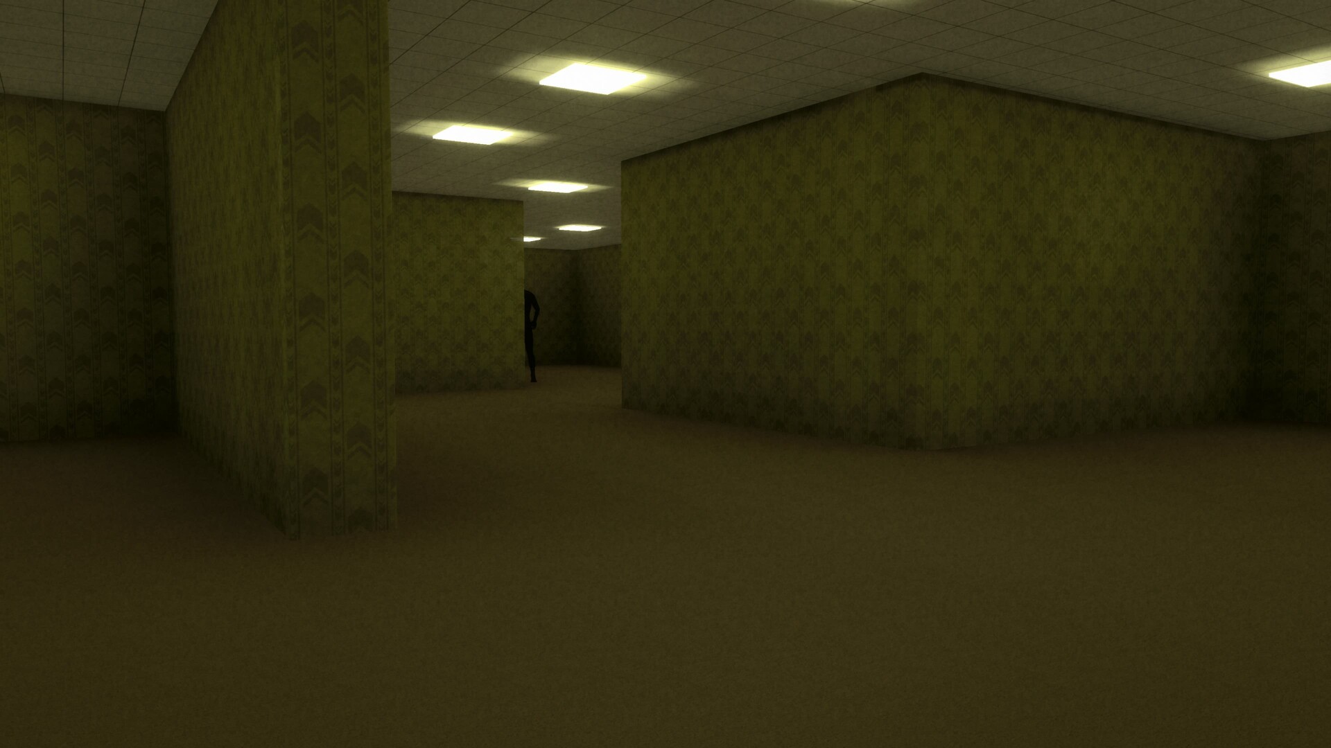 Backrooms Level X