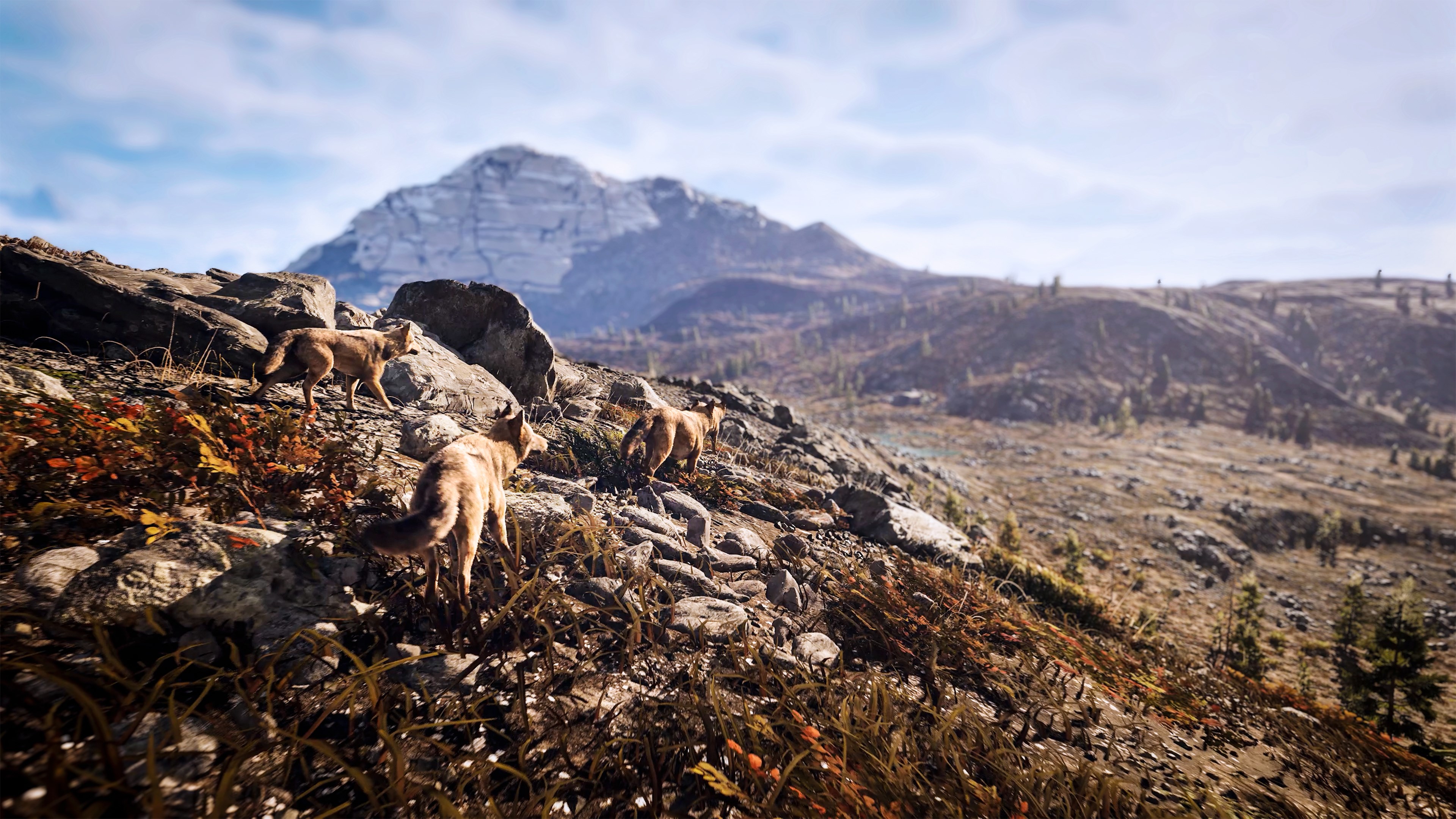 Hunting Simulator 3