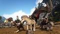 ARK-Switch-7.jpg