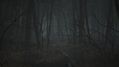 Blair-Witch-18.jpg