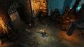 Divinity-Original-Sin-2-13.jpg