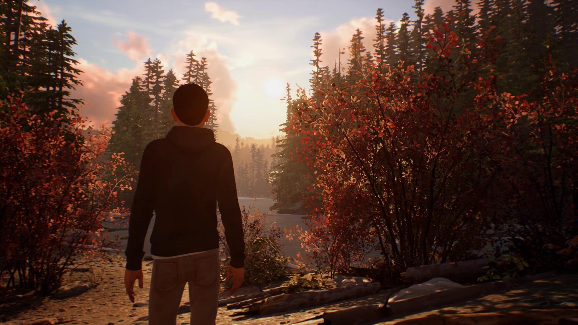 Life is Strange 2 - Episodio 1 - Imagen 25