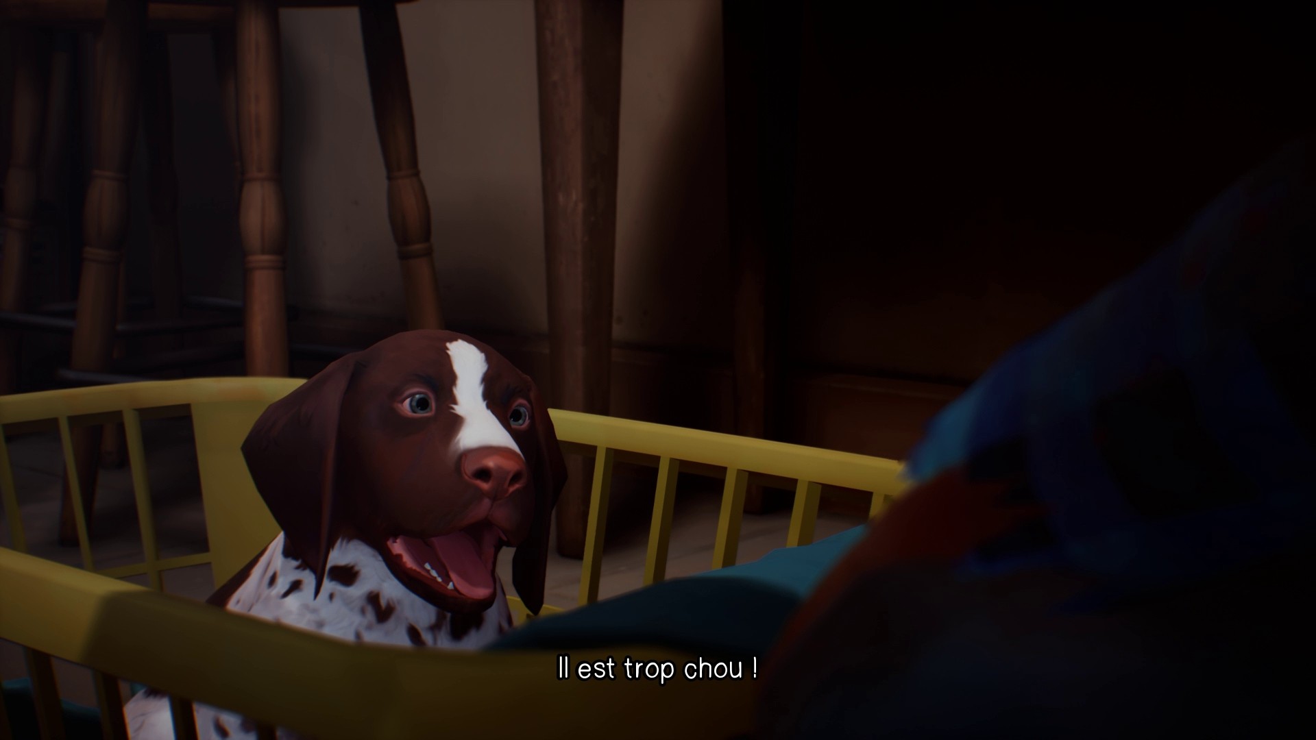 Life is Strange 2 - Episodio 1 - Imagen 35