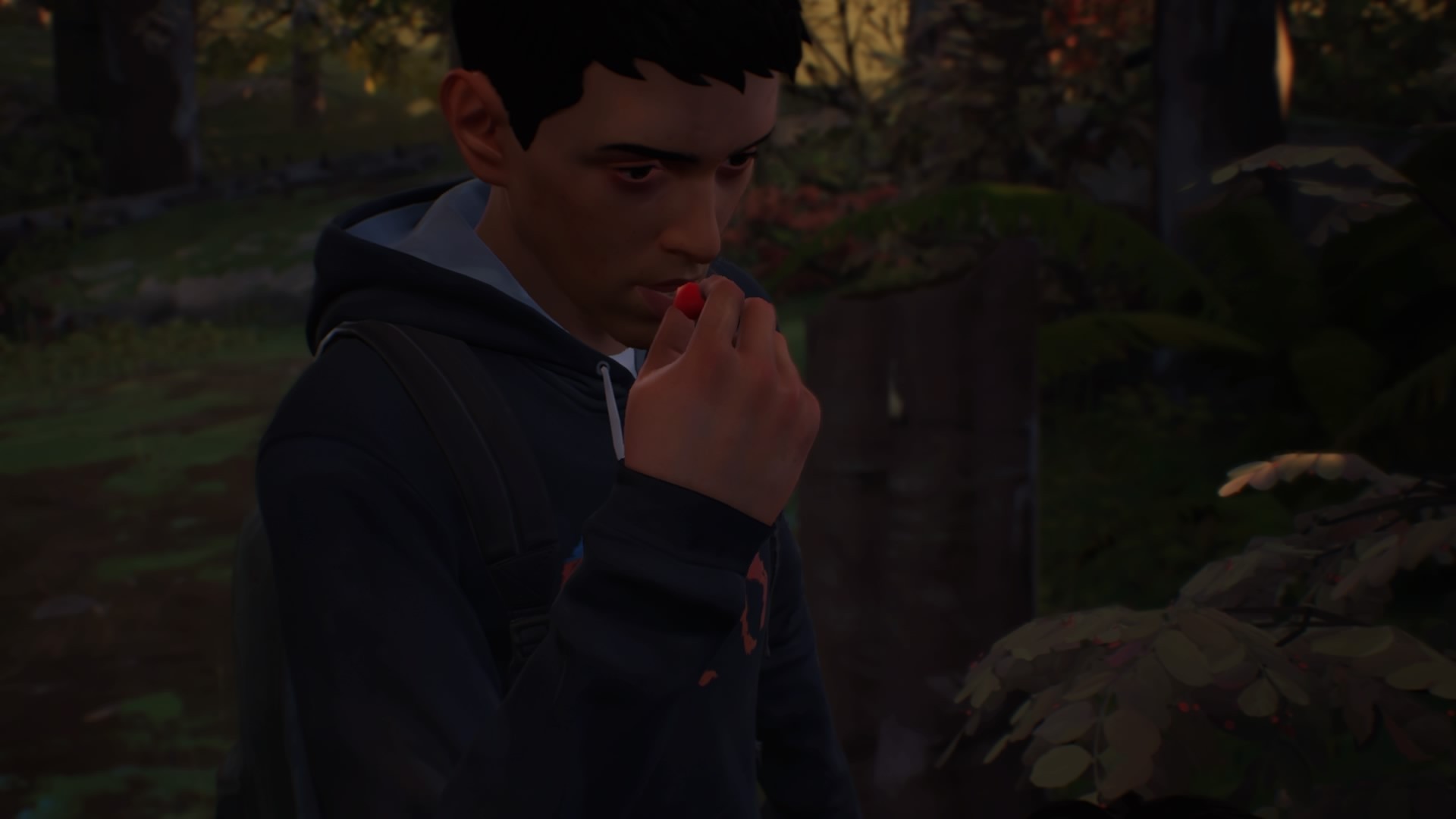 Life is Strange 2 - Episodio 1 - Imagen 18