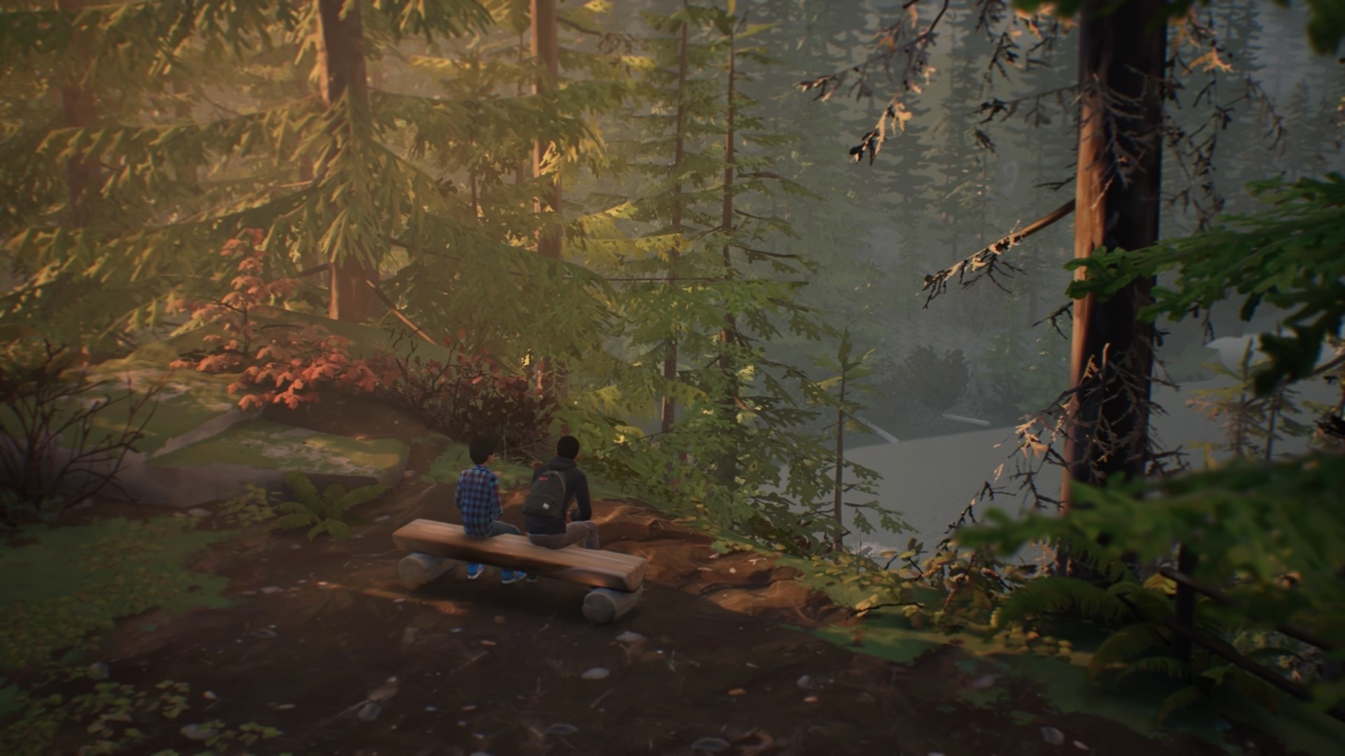 Life is Strange 2 - Episodio 1 - Imagen 20