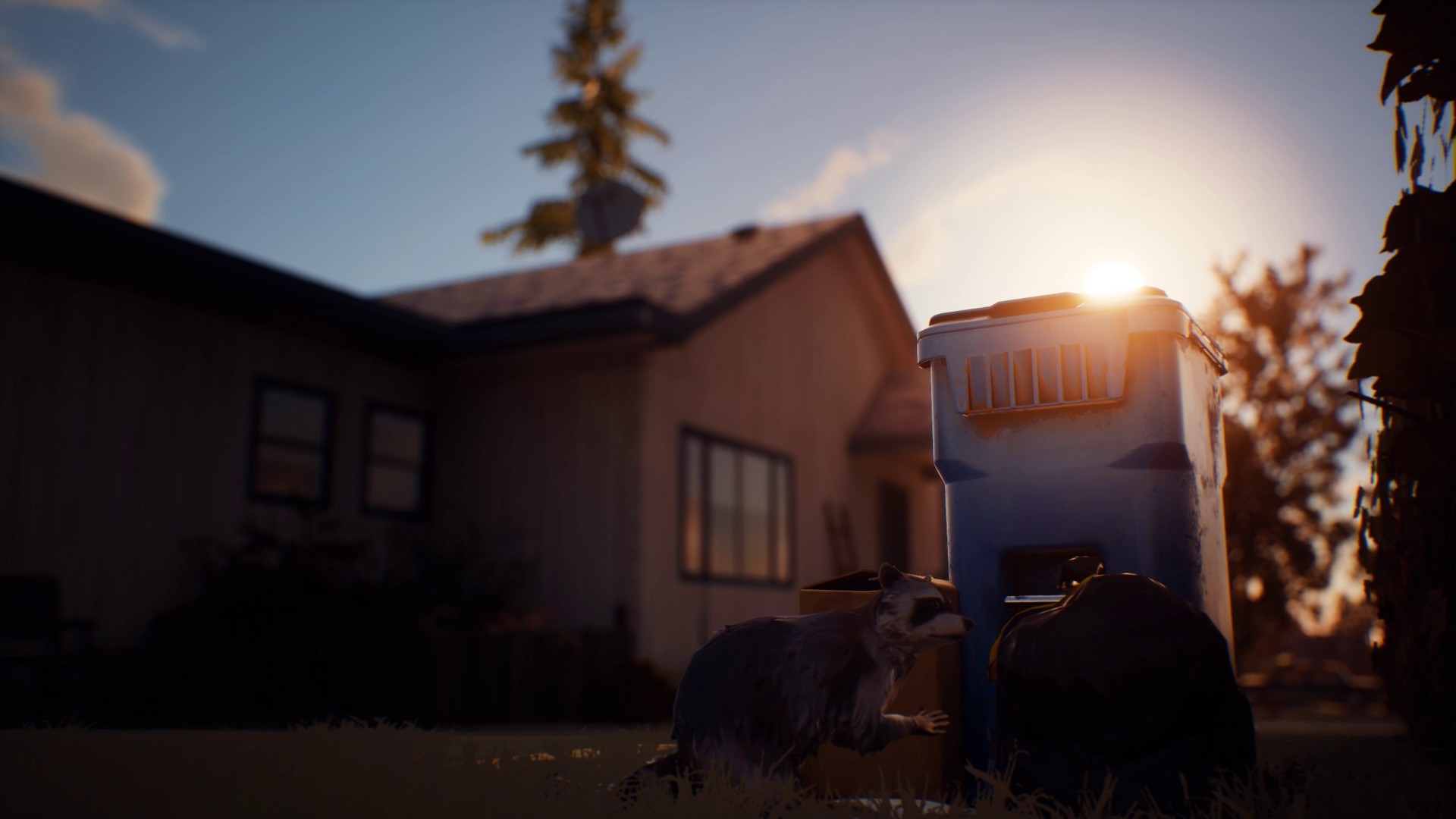 Life is Strange 2 - Episodio 1 - Imagen 17