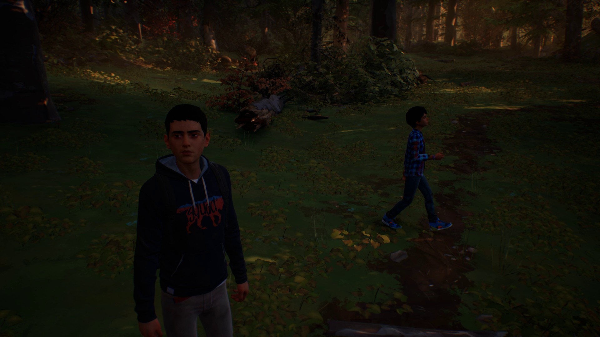 Life is Strange 2 - Episodio 1 - Imagen 30