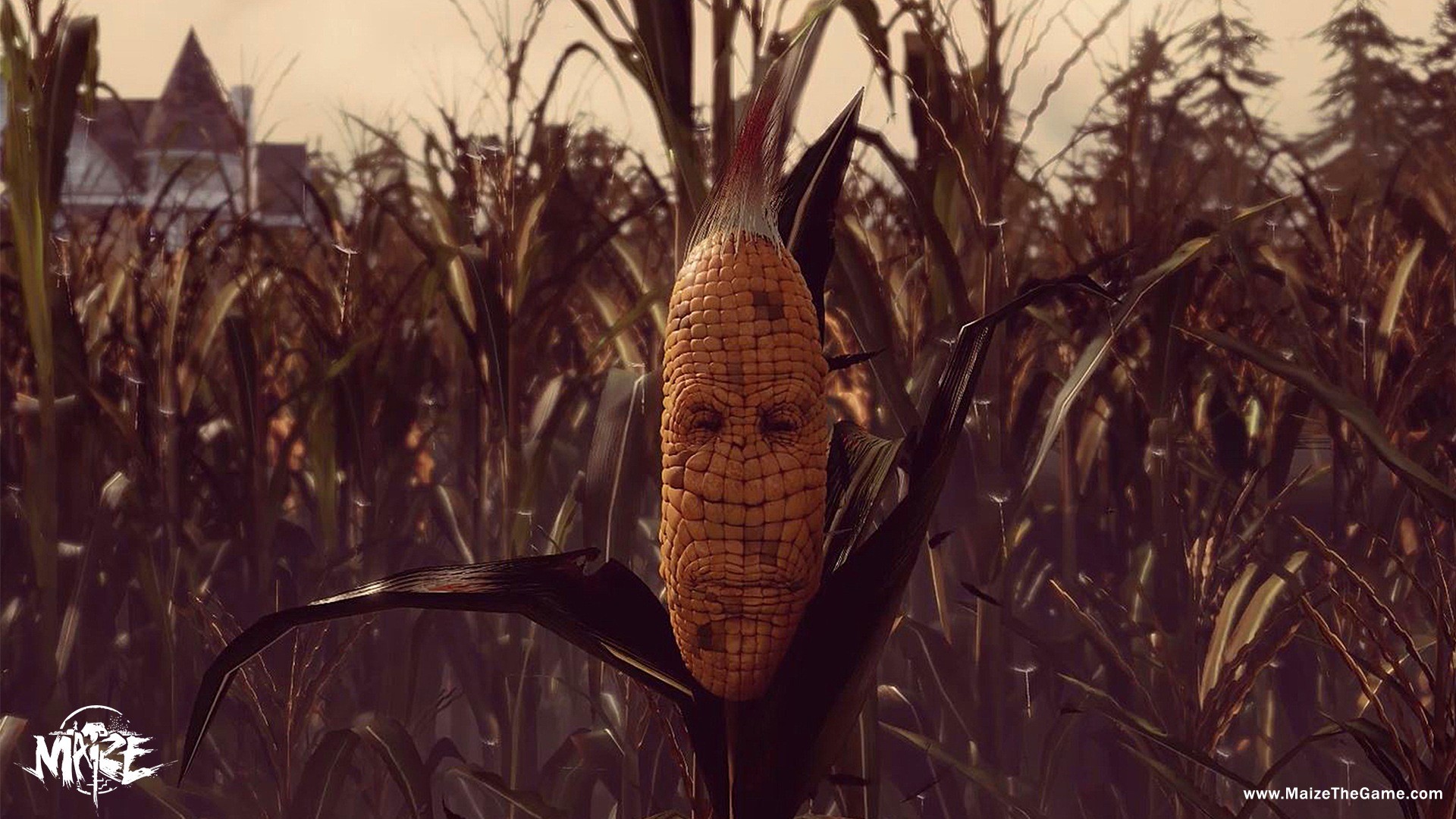 Maize - Imagen 20
