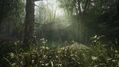 Metal-Gear-Solid-Delta-Snake-Eater-2.jpg