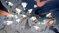 Naruto-X-Boruto-Ultimate-Ninja-Storm-Connections-8.jpg