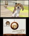 Nintendogs-Cats-Debut-3.jpg