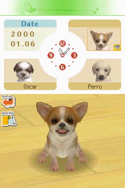 Nintendogs: Teckel y Compañía - Imagen 17