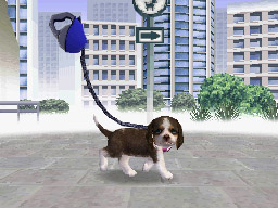 Nintendogs: Teckel y Compañía - Imagen 29
