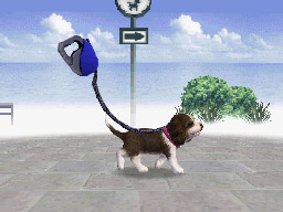 Nintendogs: Teckel y Compañía - Imagen 22