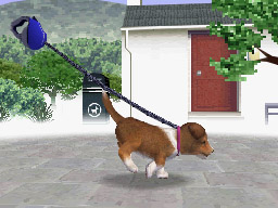 Nintendogs: Teckel y Compañía - Imagen 23