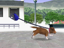 Nintendogs: Teckel y Compañía - Imagen 19