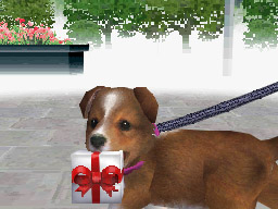 Nintendogs: Teckel y Compañía - Imagen 20