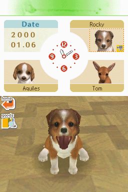 Nintendogs: Teckel y Compañía - Imagen 18