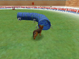 Nintendogs: Teckel y Compañía