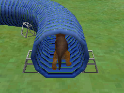 Nintendogs: Teckel y Compañía