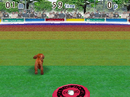 Nintendogs: Teckel y Compañía