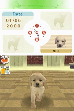 Nintendogs: Teckel y Compañía - Imagen 19