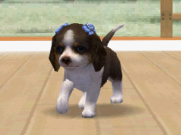 Nintendogs: Teckel y Compañía