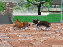 Nintendogs: Teckel y Compañía