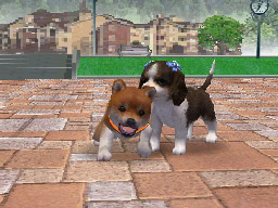 Nintendogs: Teckel y Compañía